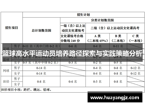 篮球高水平运动员培养路径探索与实践策略分析