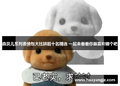森贝儿系列表情包大比拼前十名精选 一起来看看你最喜欢哪个吧