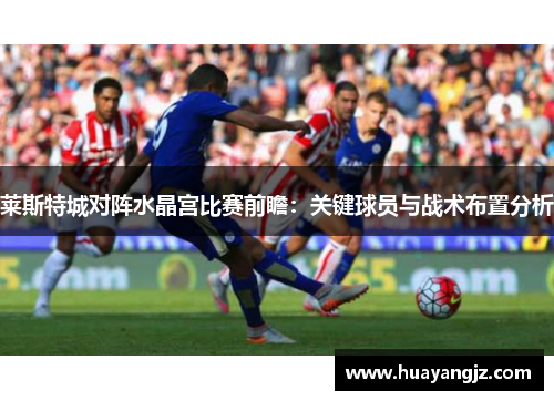 莱斯特城对阵水晶宫比赛前瞻:关键球员与战术布置分析 莱斯特城对阵水晶宫比赛前瞻:关键球员与战术布置分析